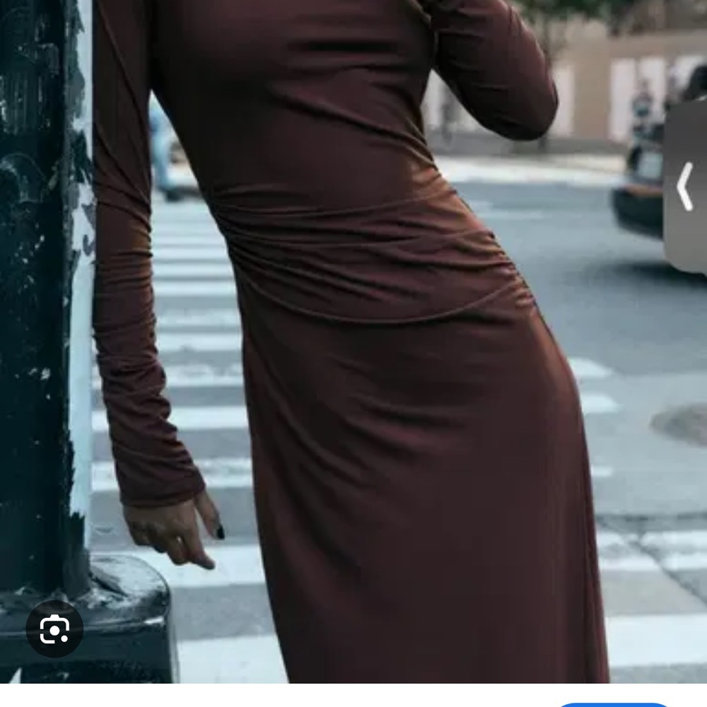 NWT Zara Mock neck long sleeve Elegant Brown Long Sleeve Dress size Medium ~$149